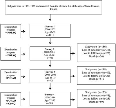 Even a Previous Light-Active Physical Activity at Work Still Reduces Late Myocardial Infarction and Stroke in Retired Adults Aged>65 Years by 32%: The PROOF Cohort Study